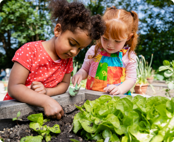 Kids planting lettuce in sunny garden